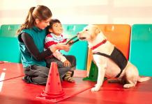 Профессия собак: поводырь, охранник, спасатель… и настоящий друг Поиск и спасение