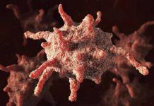 Ang mga lymphocyte sa HIV ay nadagdagan o nababawasan