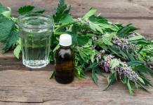 Motherwort herb: mga tagubilin para sa paggamit