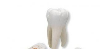 Dişlər necə görünür Uşağın süd dişlərinin inkişafı tamamlanır.