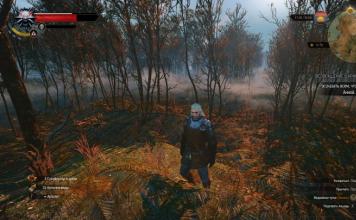The Witcher Guide: Graphic Settings
