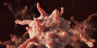 Lymfocyty v HIV sú zvýšené alebo znížené